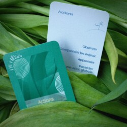 Mise en scène d'une des cartes du jeu Actions du Fil à Bascule, outil pédagogique ludique