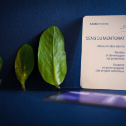 Mise en scène de la carte Sens du Mentorat du jeu Motivations du Fil à Bascule, outil pédagogique ludique