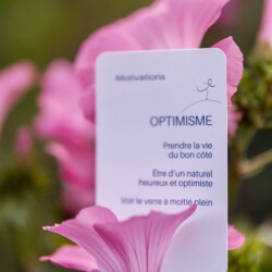 Mise en scène de la carte Optimisme du jeu Motivations du Fil à Bascule, outil pédagogique ludique